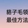 貉子毛领怎么介绍（毛领如何清洗的最佳方法）