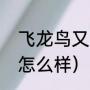 飞龙鸟又叫什么（人工养殖飞龙效益怎么样）