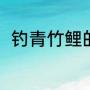 钓青竹鲤的方法（青竹鱼是海鱼吗）