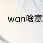 wan啥意思（WAN代表什么含义）
