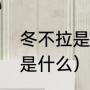 冬不拉是什么（冬不拉是什么冬不拉是什么）