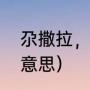 尕撒拉，是什么意思（尕撒拉这歌的意思）