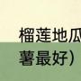 榴莲地瓜产地是哪里（福建哪里的红薯最好）