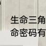 生命三角是什么（生命密码和三角生命密码有什么不一样）