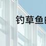 钓草鱼的饵料（钓草鱼的饵料）