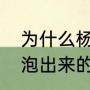 为什么杨梅里面有这么多虫子（杨梅泡出来的小虫子是什么虫）