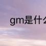gm是什么意思（GM是什么意思）