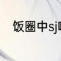 饭圈中sj啥意思（体育sj什么意思）