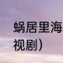 蜗居里海藻是谁扮演的（海藻主演电视剧）