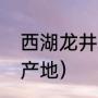 西湖龙井正宗产地是哪里（龙井正宗产地）