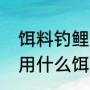 饵料钓鲤鱼好还是麦粒好（钓锦鲤鱼用什么饵最好）