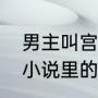 男主叫宫溟的小说（容离和云镶是啥小说里的）