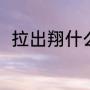 拉出翔什么意思（吃翔是什么意思）