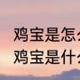 鸡宝是怎么形成的?有何用途（真正的鸡宝是什么样子）