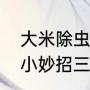 大米除虫的最佳方法（大米生虫防虫小妙招三种方法）
