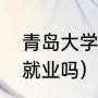 青岛大学考研率（青岛大学研究生好就业吗）