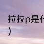 拉拉p是什么意思（拉拉p是什么意思）