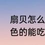 扇贝怎么清洗（扇贝怎么处理干净黄色的能吃吗）