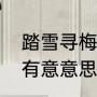 踏雪寻梅寓意和象征（踏雪寻梅并非有意意思是什么）