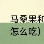 马桑果和野桑葚怎么区分（马桑做菜怎么吃）