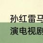 孙红雷马苏演的电视剧（马苏王涛主演电视剧）