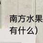 南方水果有哪些（南方一年四季水果有什么）