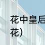 花中皇后是什么花（花中王后是什么花）