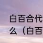 白百合代表什么白色百合的花语是什么（白百合是什么意思）