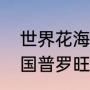 世界花海在什么地方（为什么只有法国普罗旺斯的薰衣草最美）