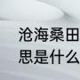 沧海桑田是什么意思（沧海桑田的意思是什么）