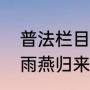 普法栏目剧风雨燕归来一共六集（风雨燕归来什么意思）