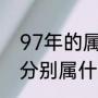97年的属相是什么（96年97年98年分别属什么）