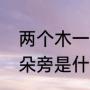 两个木一个阝读什么（两个木一个耳朵旁是什么）