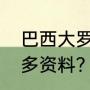 巴西大罗小罗分别是谁？（大罗纳尔多资料？）