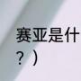 赛亚是什么意思？（赛亚是什么意思？）