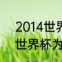 2014世界杯加纳队进几强？（2018世界杯为什么没有加纳队？）