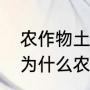 农作物土生土长的歇后语是什么？（为什么农作物是土生土长？）