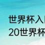 世界杯入围半决赛是什么意思？（2020世界杯半决赛什么时候？）