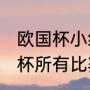 欧国杯小组赛比分结果？（2021欧洲杯所有比赛的比分？）