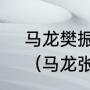 马龙樊振东王楚钦各拿多少个冠军？（马龙张本智和交手记录？）