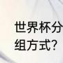 世界杯分组是什么意思？（世界杯分组方式？）