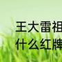 王大雷祖籍？（王大雷u17世界杯为什么红牌？）
