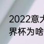 2022意大利杯冠军（2022卡塔尔世界杯为啥没有意大利）