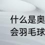 什么是奥运会羽毛球比赛（东京奥运会羽毛球小组赛规则）