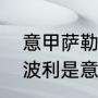 意甲萨勒尼塔纳是哪个派系（意甲恩波利是意甲哪个派系）