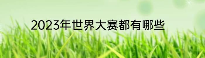 2023年世界大赛都有哪些