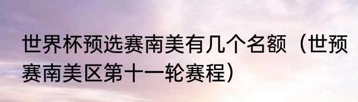 世界杯预选赛南美有几个名额（世预赛南美区第十一轮赛程）