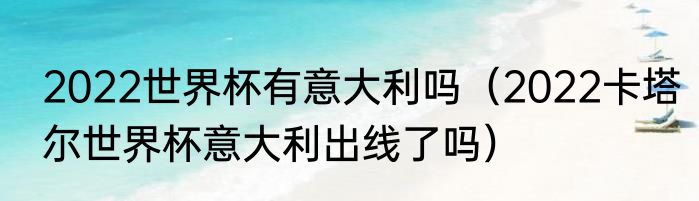 2022世界杯有意大利吗（2022卡塔尔世界杯意大利出线了吗）