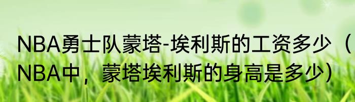 NBA勇士队蒙塔-埃利斯的工资多少（NBA中，蒙塔埃利斯的身高是多少）
