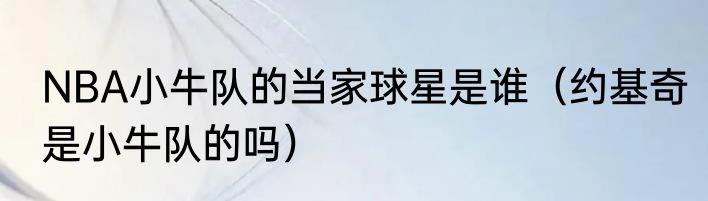 NBA小牛队的当家球星是谁（约基奇是小牛队的吗）